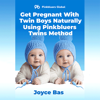Twin boys ebook cover