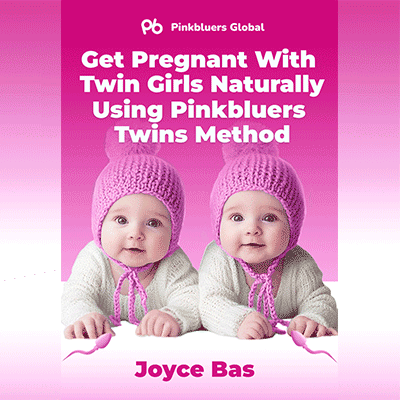 Twin girls ebook cover