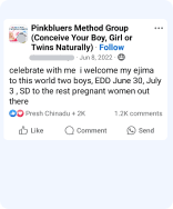 pregnancy testimony